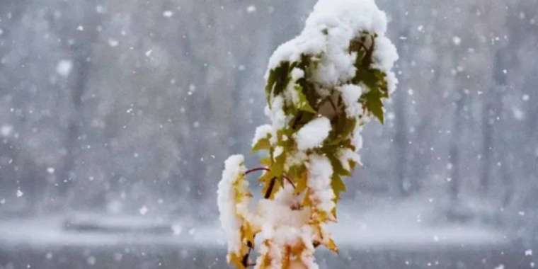 8 қарашада ауа райы қандай болатыны болжанды