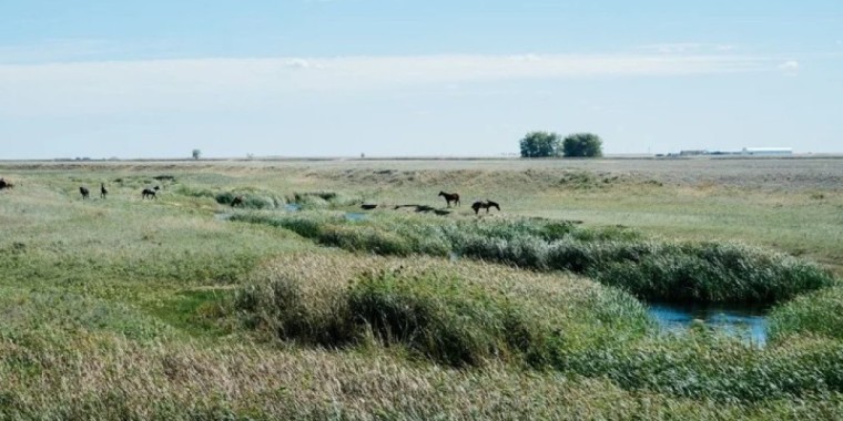 Құны 300 млн теңге тұратын жер заңсыз сатылып кеткен