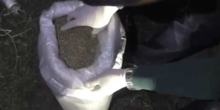 Жамбыл облысында есірткі тасымалдады деген айыппен екі күдікті ұсталды