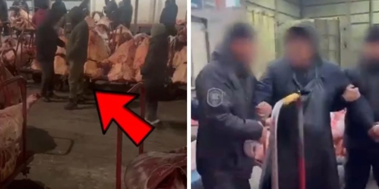 Астанадағы базарда қауіпті ет сатылған