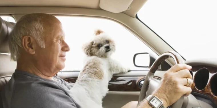 Қыдырып жүріп, 62 жастағы кемпірін жол бойында ұмытып кеткен