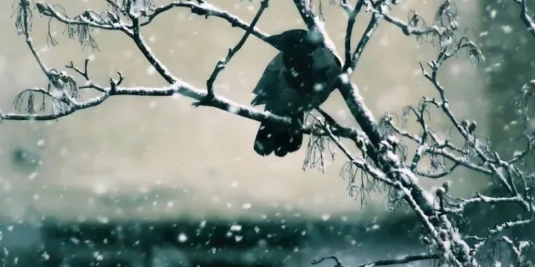 22 қарашада ауа райы қандай болады