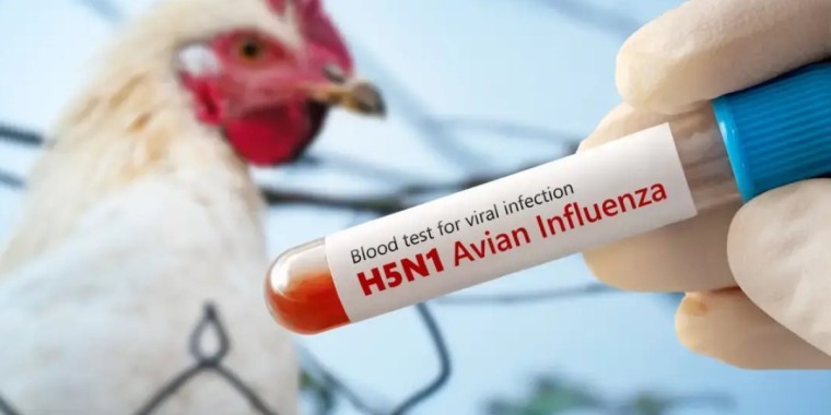 Әлемде алғаш рет құс тұмауынан адам қайтыс болды