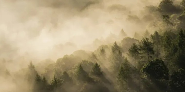 25 қарашада ауа райына байланысты ескерту жасалды