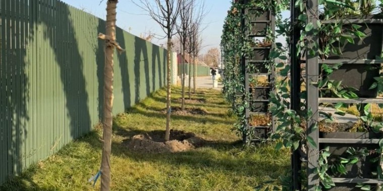«Таза Қазақстан»: Алматының Жетісу ауданында көгалдандыру жалғасып жатыр