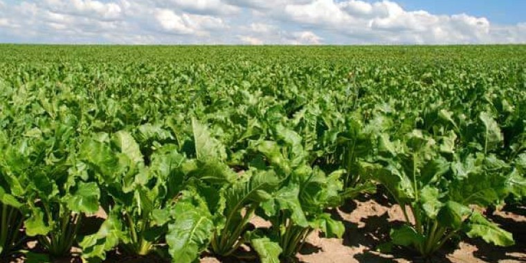 Қарашөкеев Жамбыл облысына тартылған 4 трлн-ға жуық инвестицияның құрамын атап көрсетті