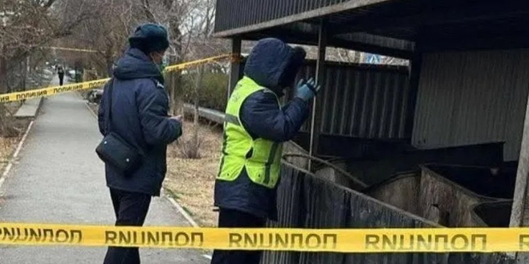 Кентау қаласында қоқыстан жаңа туған сәбидің мүрдесі табылды