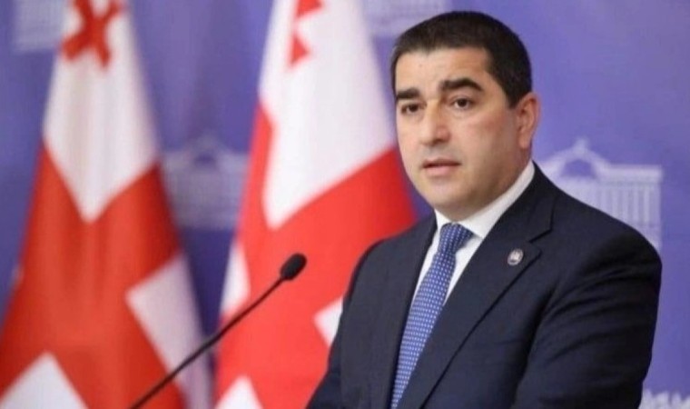 «Химиялық қару» туралы жалған ақпарат. Грузия Еуроодақтан кешірім сұрауды талап етті