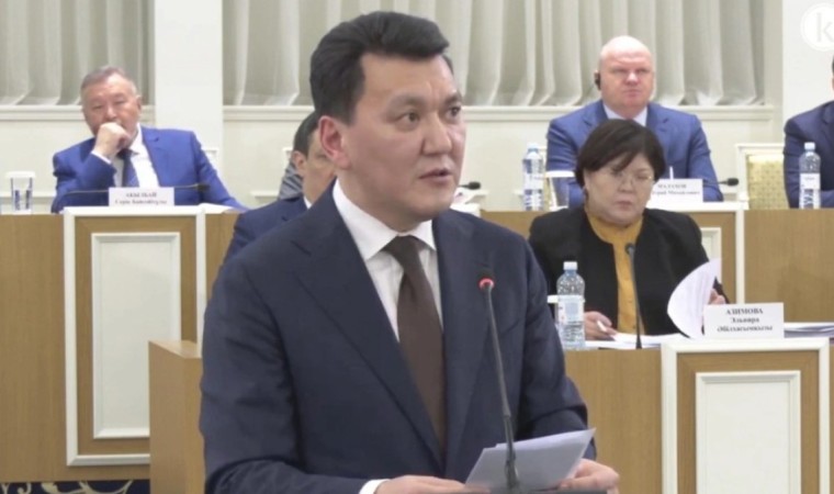 Қарин 1995 жылғы Конституциядағы қателерді тізді