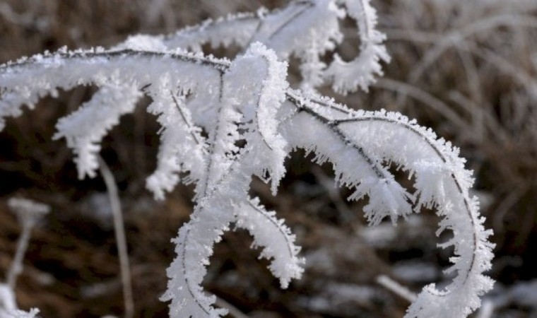 Ертеңнен бастьап -25 градусқа дейін аяз болады