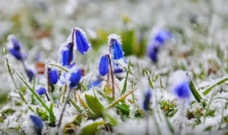 Синоптиктер ертең ауа райы қандай болатынын ескертті