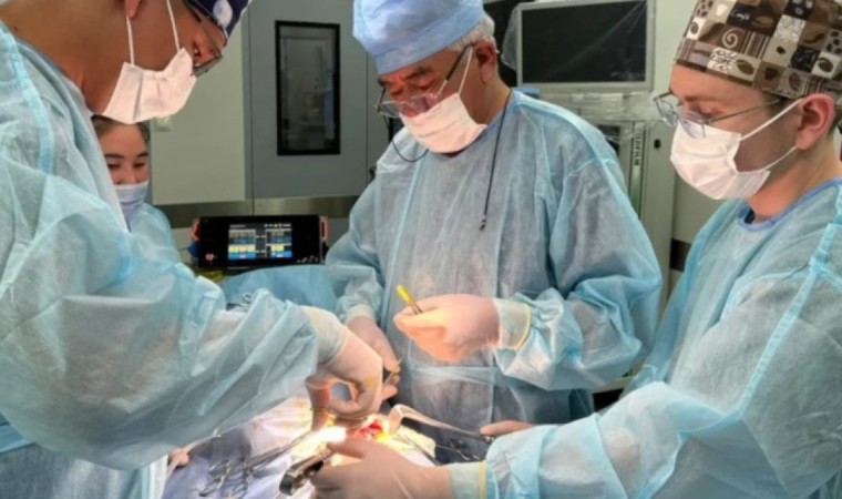 Дәрігерлер 12 жастағы қыздың асқазанынан үшінші рет шаш түйінін алды