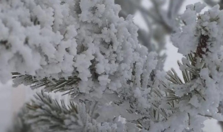 Алдағы күндері қау жауып, үсік жүреді