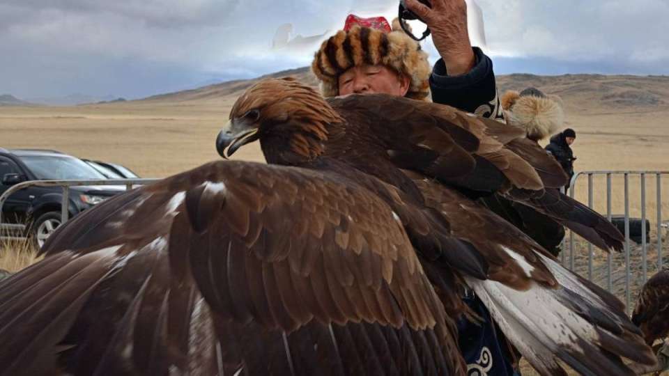 «Тарихымыз бен мәдениетімізді паш ететін мүмкіндік». ШҚО-да құсбегілер фестивалі аяқталды