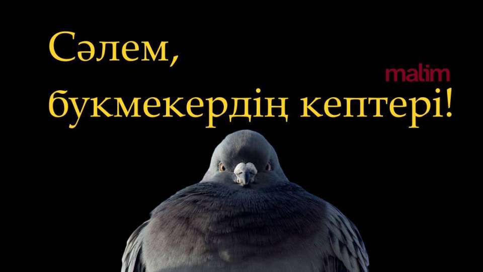 Неге ставка істеуге болмайды? Себебі сен - кептерсің.
