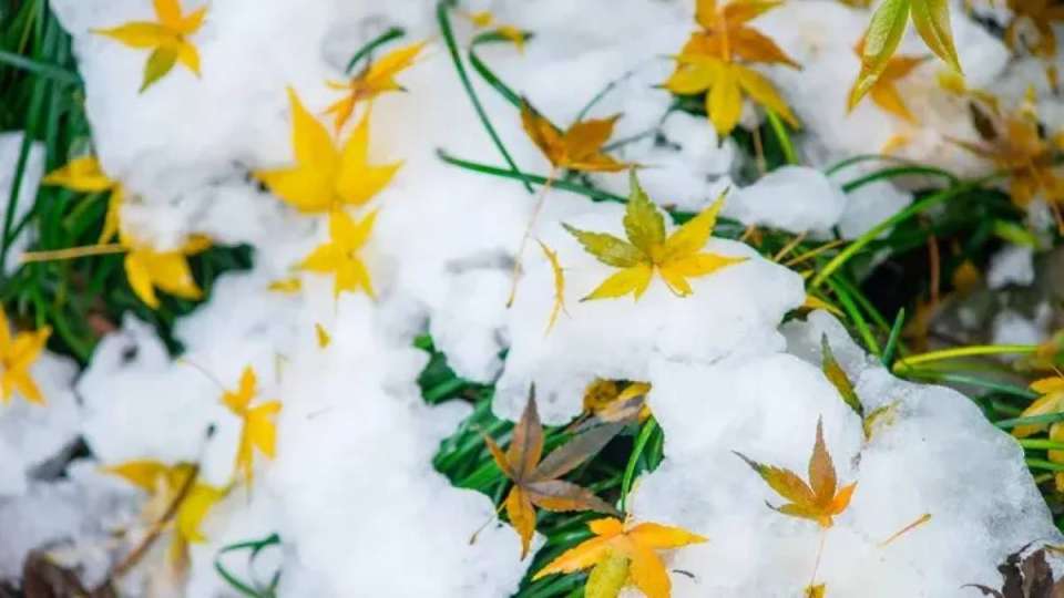 29 қазанға арналған ауа райы болжамын жарияланды