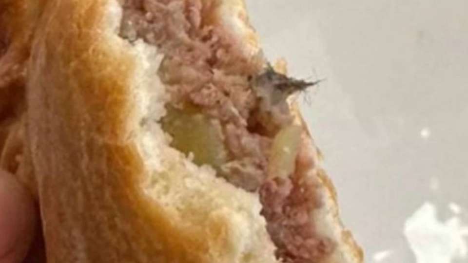 Бәліш ішіндегі тышқанның жүні. Мектеп асханасы жабылды