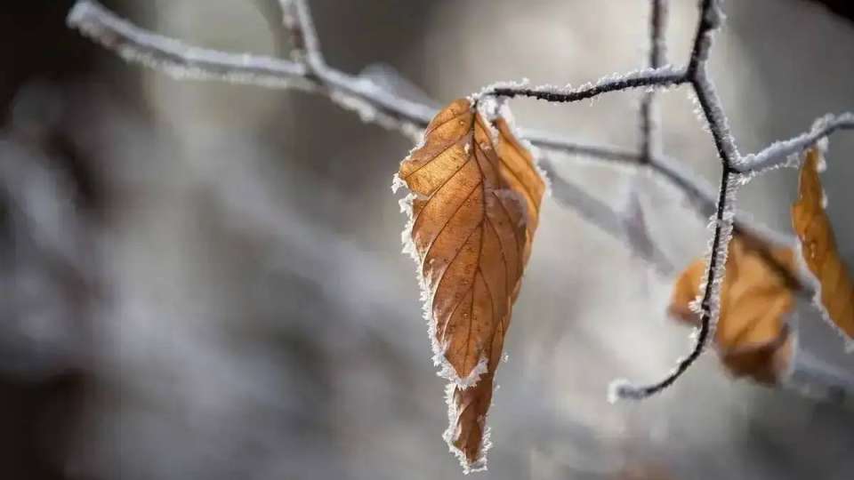 Күздің соңғы күні жаңбыр жауып, үсік жүреді