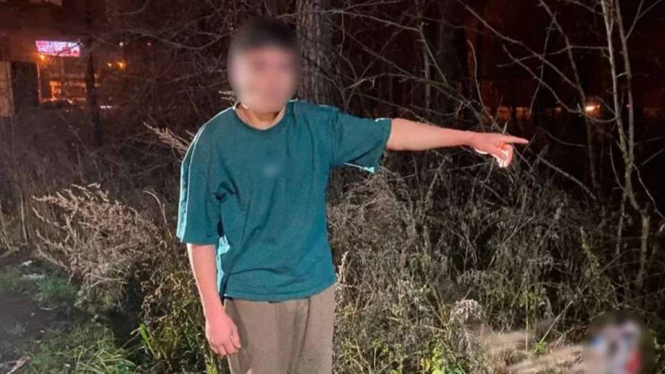 17 жастағы қасапшы жігіт өз анасының басын кесіп, жерге көміп тастады