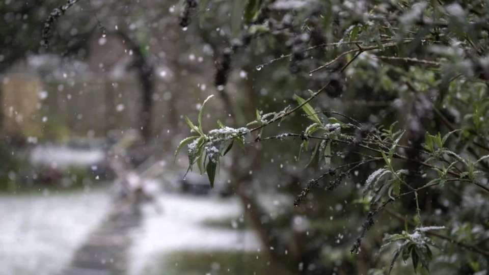 Еліміздің бірнеше аймағында қар жауып, соңы көктайғаққа ұласады