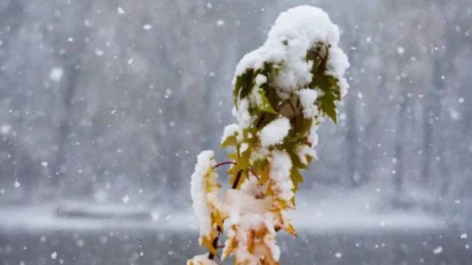 8 қарашада ауа райы қандай болатыны болжанды