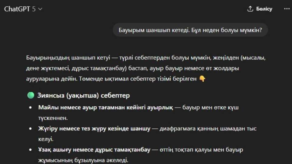 Шымдық азамат ChatGPT-ді тыңдаймын деп,  ауруын асқындырып алған
