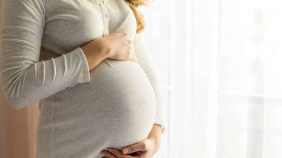 Шымкент тұрғыны жүкті әйелдердің декреттік төлемін алып отырған