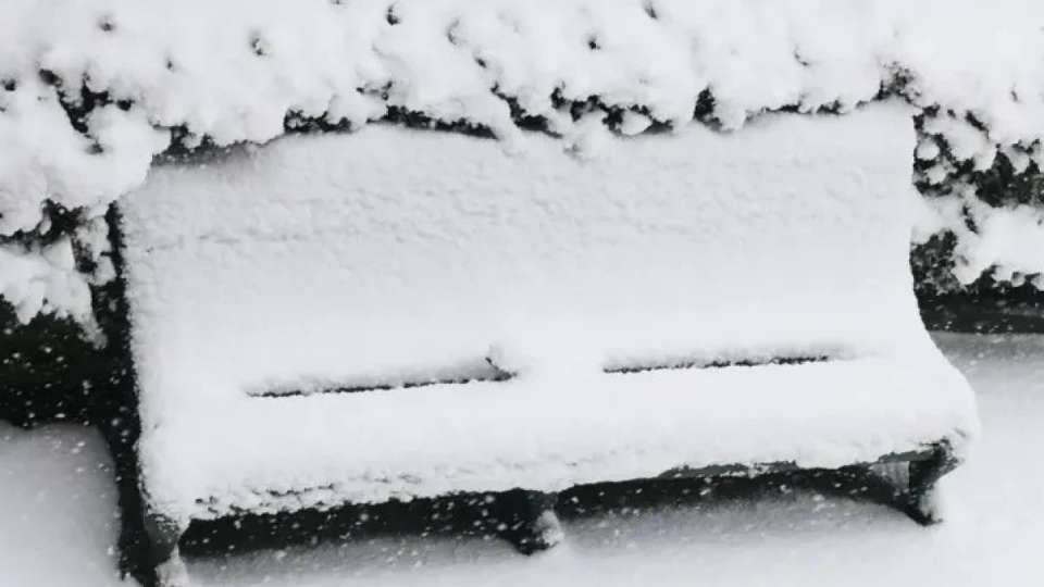 11 қараша ауа райы қандай болатыны жарияланды