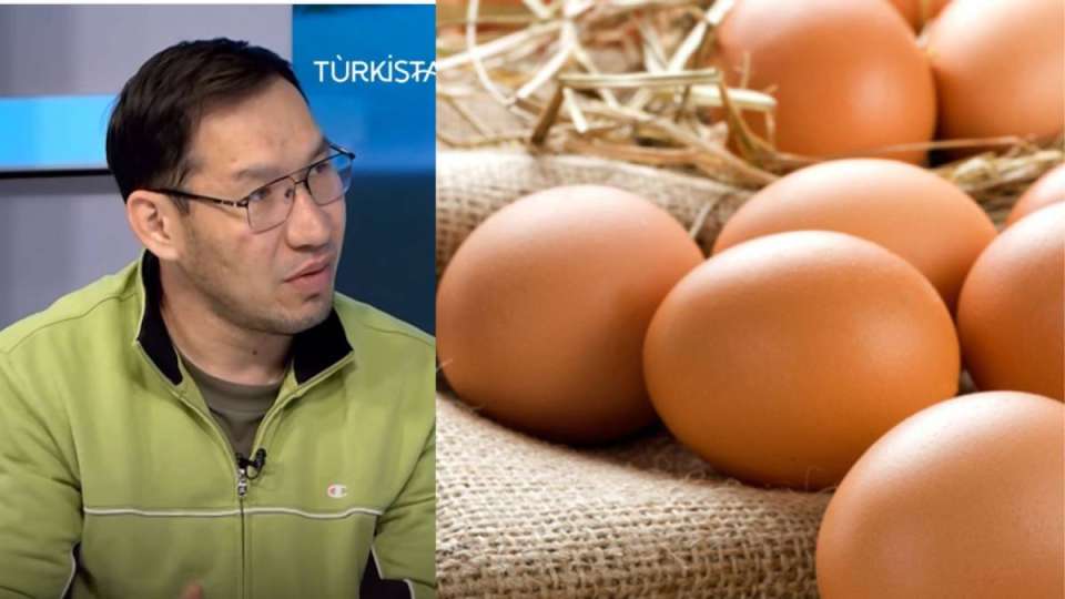 "Күніне 15 жұмыртқа жеймін": жаттықтырушы Азамат Садуақасов дұрыс тамақтану туралы айтты