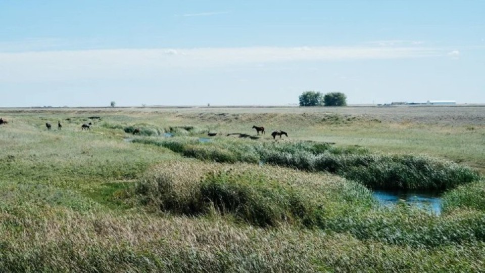 Құны 300 млн теңге тұратын жер заңсыз сатылып кеткен