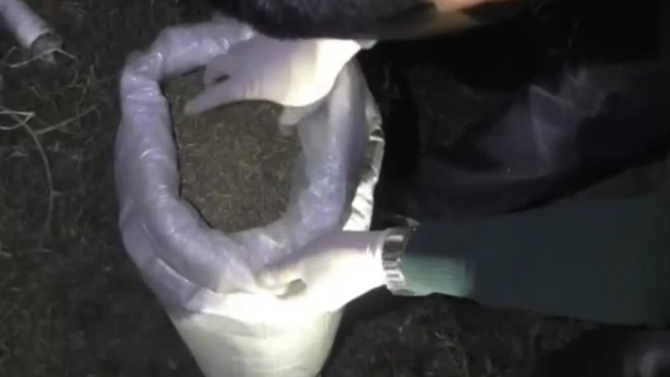 Жамбыл облысында есірткі тасымалдады деген айыппен екі күдікті ұсталды