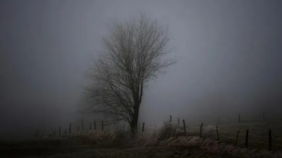 17 қарашада ауа райы қандай болады?