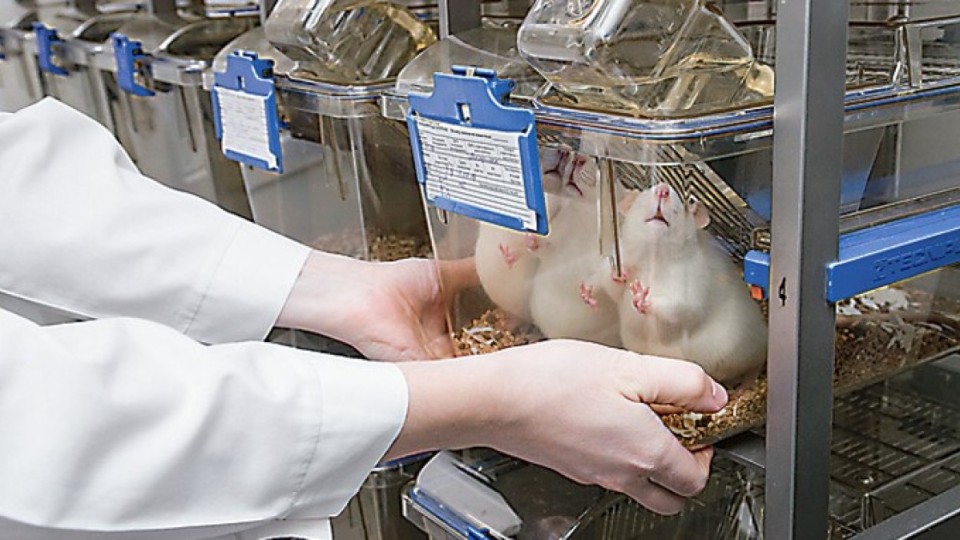 Үкімет: еліміз аймақтағы фармацевтикалық хаб болуға ниетті