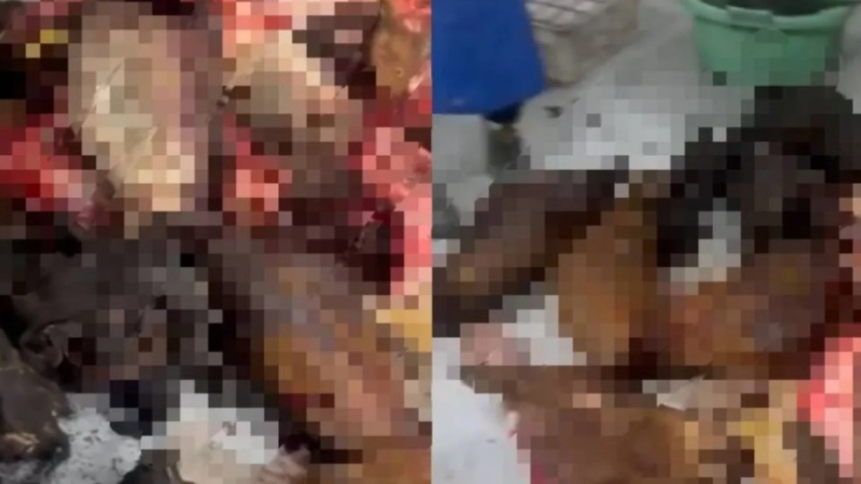 Антисанитариялық цех: Астанада заңсыз ет өндірушілер ұсталды