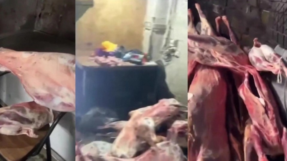 Ет алғанда сақ болыңыздар: заңсыз жұмыс істеген цехтан 3 тонна ет табылды