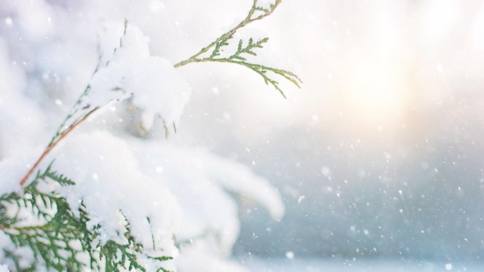 20 қарашада ауа райы қандай болатыны белгілі болды