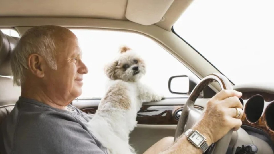 Қыдырып жүріп, 62 жастағы кемпірін жол бойында ұмытып кеткен