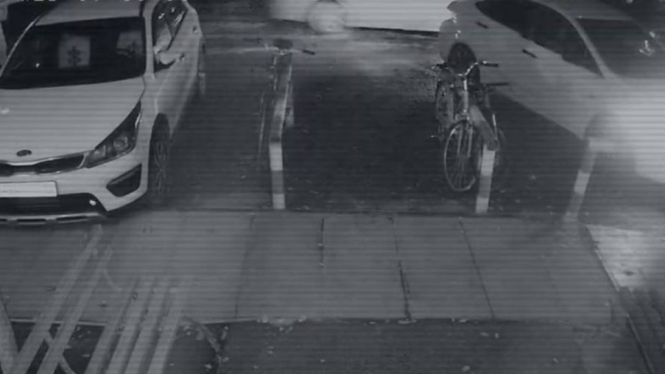 Полиция Яна Легкодимованың өліміне қатысты бейнежазба жариялады /видео/