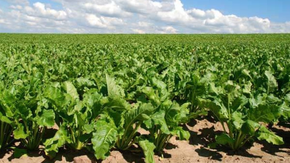 Қарашөкеев Жамбыл облысына тартылған 4 трлн-ға жуық инвестицияның құрамын атап көрсетті