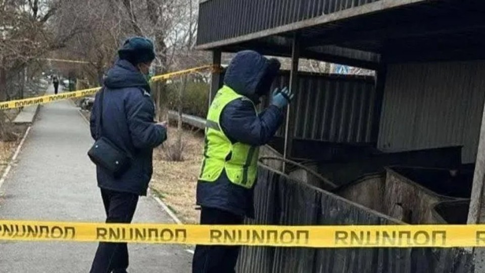 Кентау қаласында қоқыстан жаңа туған сәбидің мүрдесі табылды