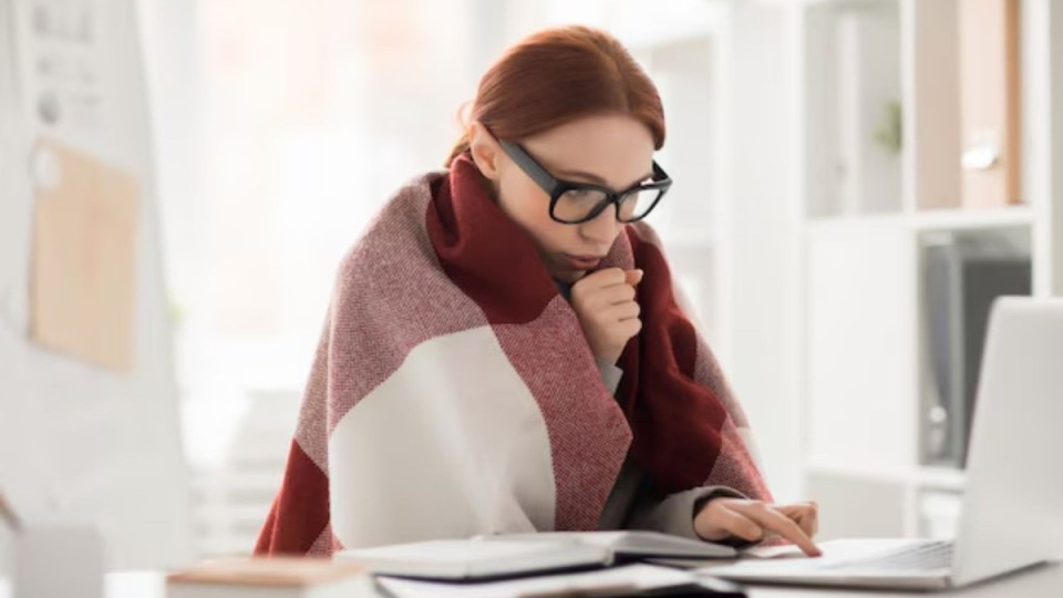 Енді жұмыс орныңыз суық болса, жұмыс істеуден бас тартып, үйден шықпай-ақ қойсаңыз болады