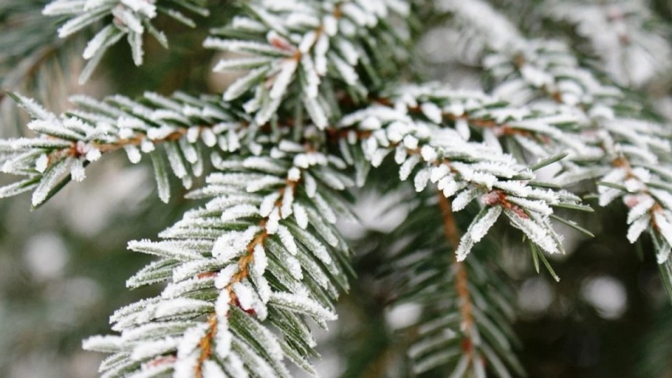 Бұрқасын, тұман, көктайғақ... Синоптиктер ескертеді