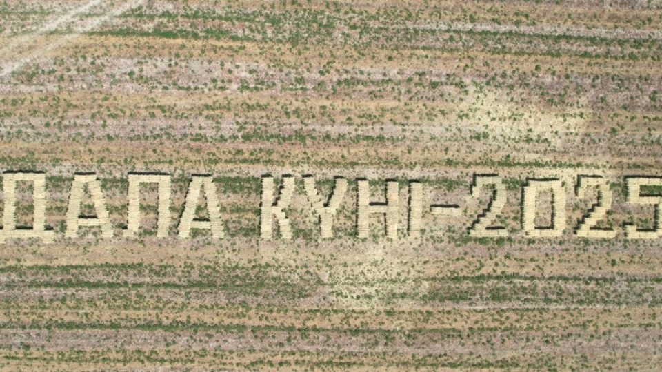 Суды үнемдеп, өнімді көбейткен өңір: Қызылорда тәжірибесі