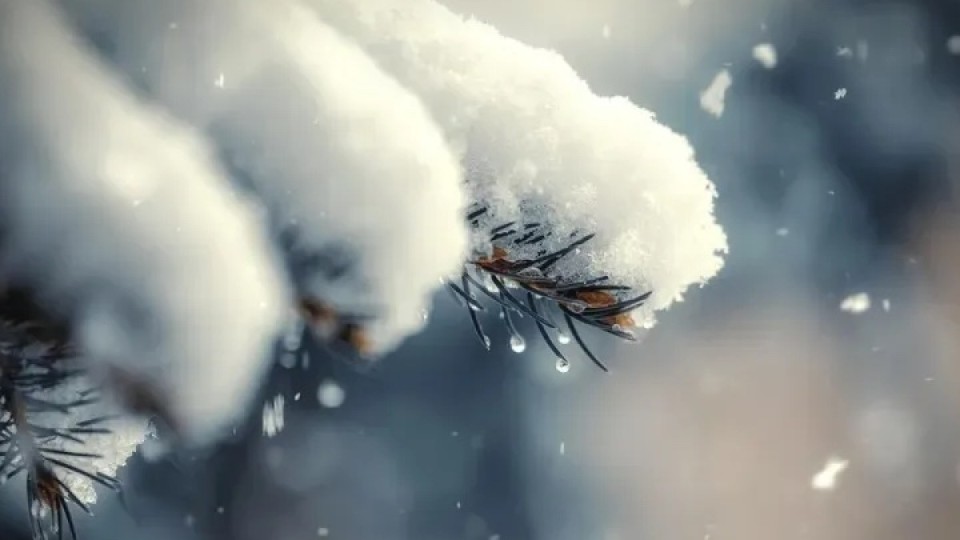 "Қарлы боран, көктайғақ": 24 желтоқсанға арналған ауа райы болжамы
