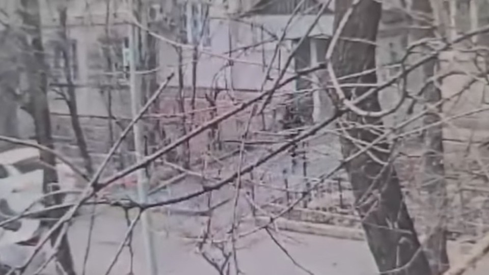 Қарақшылар алматылық тұрғынды байлап, 30 млн-дық мүлкін ұрап кеткен