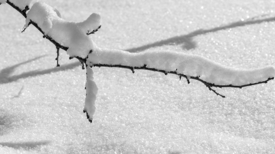 Ауа райына қатысты 14 облыста ескерту жарияланды