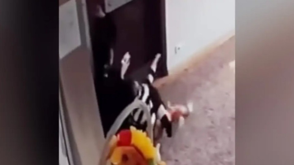 «Шапалақпен ұрып, тұншықтырған»: Алматыда балабақшада болған оқиға жұртты шошытты