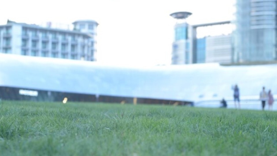 Футбол ойыны кезінде 64 полиция қызметкері жарақат алды