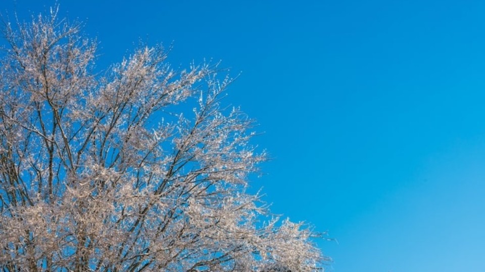 Сенбі күні еліміздің бірнеше өңірінде тұман мен қар күтіледі