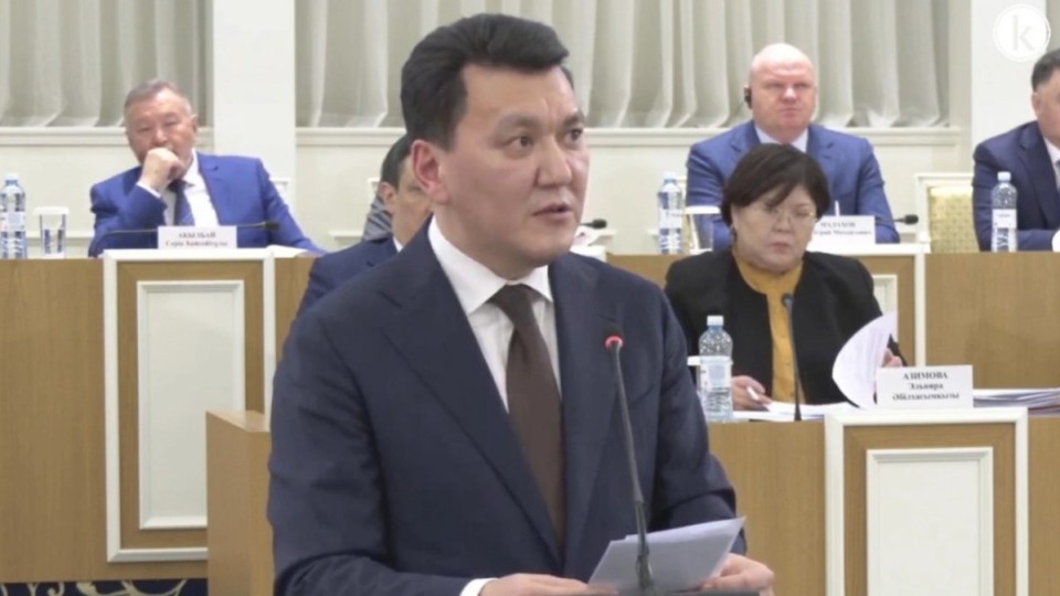 Қарин 1995 жылғы Конституциядағы қателерді тізді